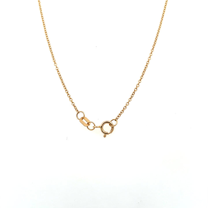 10K Yellow Gold 0.02ctw Diamond Sand Dollar Necklace