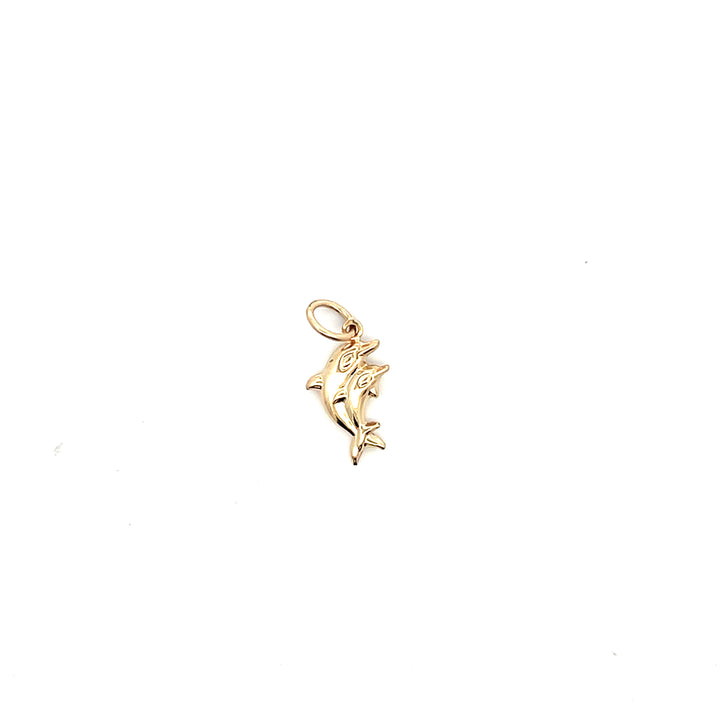 14K Yellow Gold Hollow Dolphin Charm