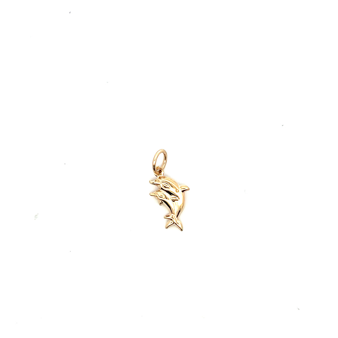 14K Yellow Gold Hollow Dolphin Charm