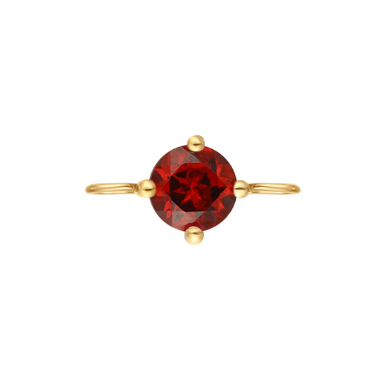 14K Yellow Gold Double Bail Garnet Charm by Aurelie Gi