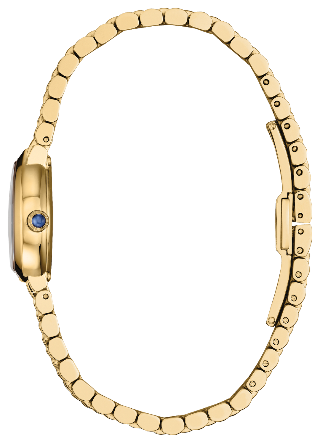Stainless Steel Rainell Eco-Drive Ladies Watch by Citizen