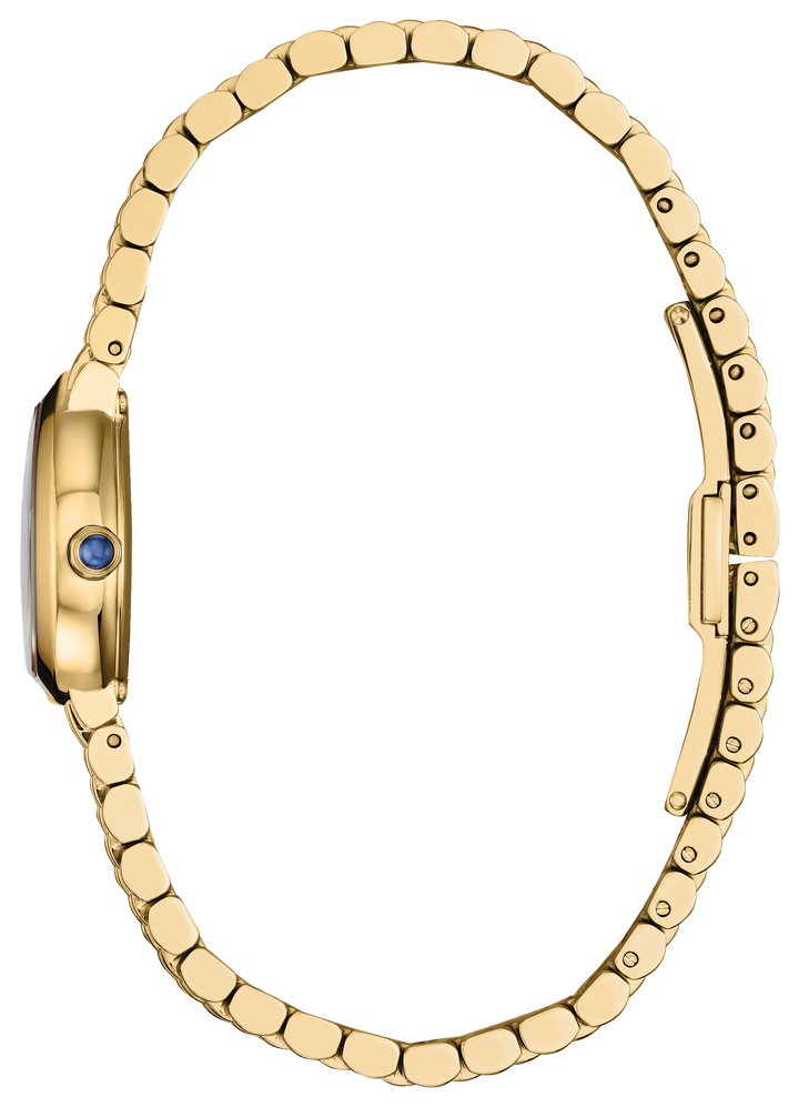 Stainless Steel Rainell Eco-Drive Ladies Watch by Citizen