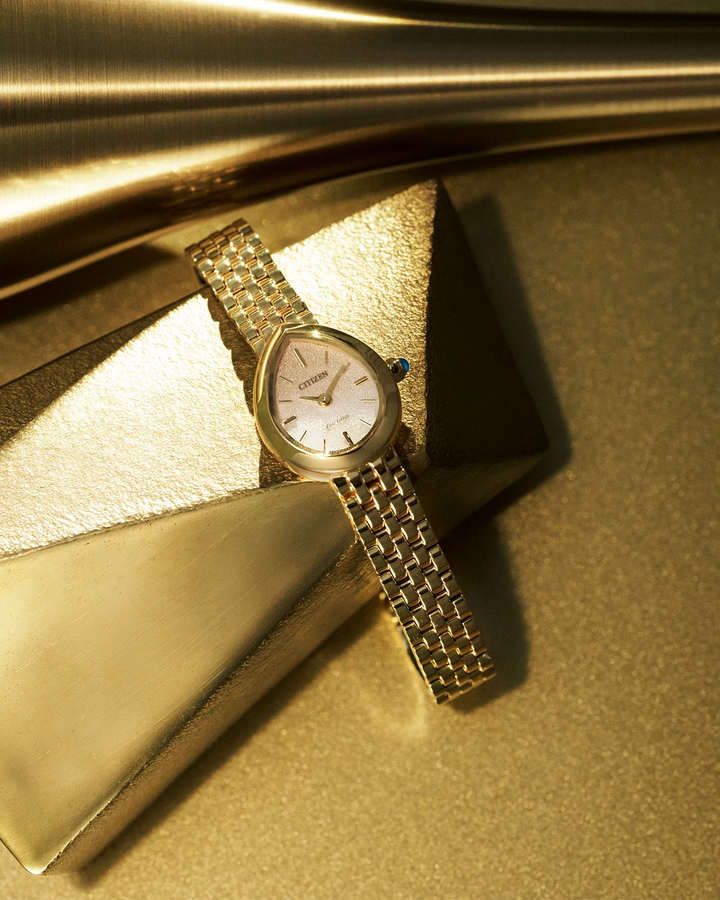 Stainless Steel Rainell Eco-Drive Ladies Watch by Citizen