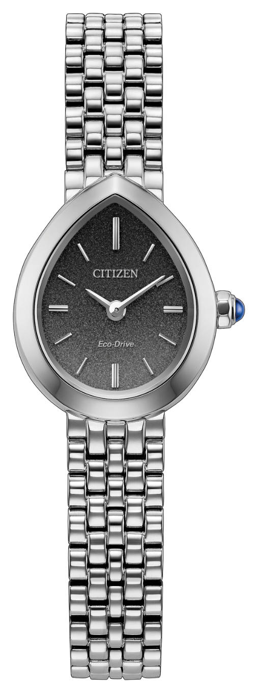 Stainless Steel Rainell Eco-Drive Ladies Watch by Citizen