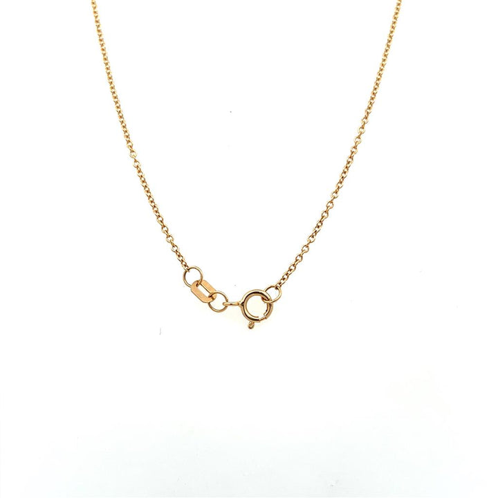 10K Yellow Gold 0.02ctw Diamond Sand Dollar Necklace