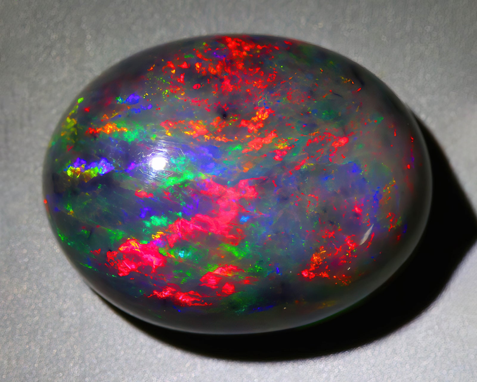 Multicolored black opal on a gray background
