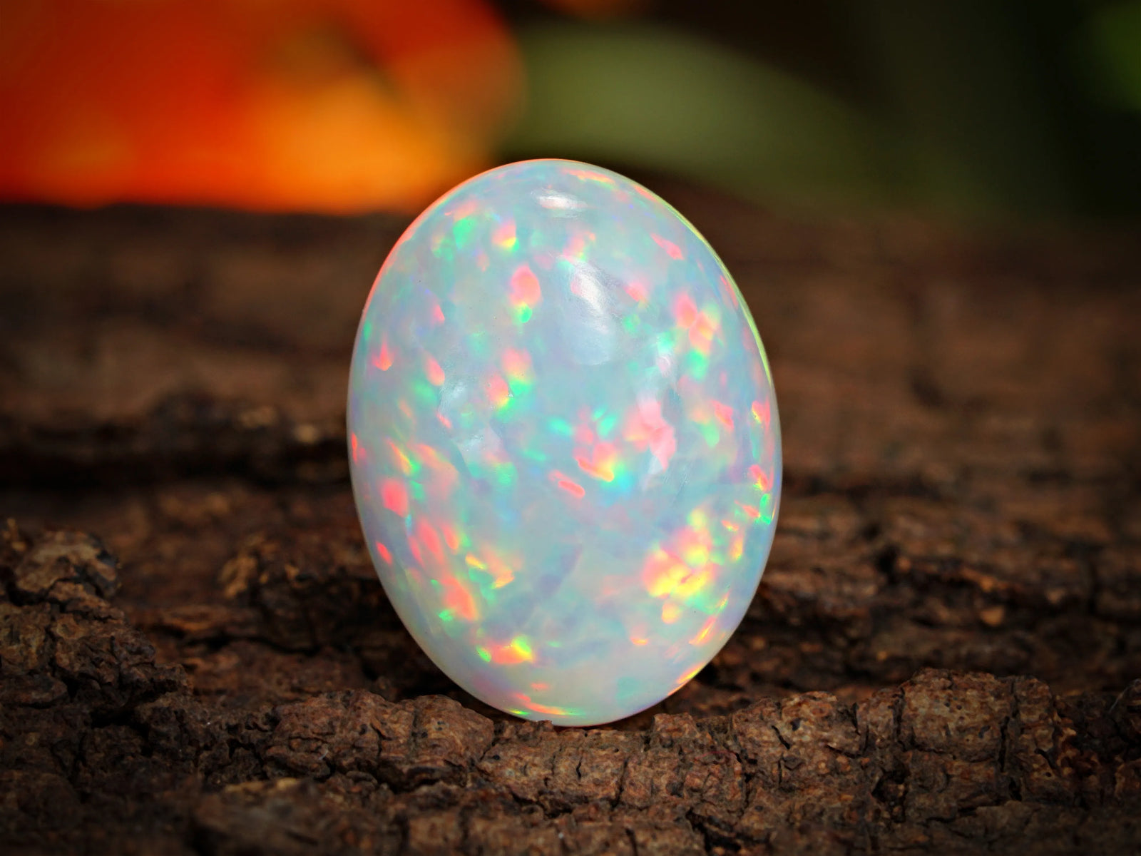A white opal stone with multicolored play of light on a dark wooden surface
