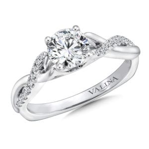 Spiral Band Engagement Mounting by Valina