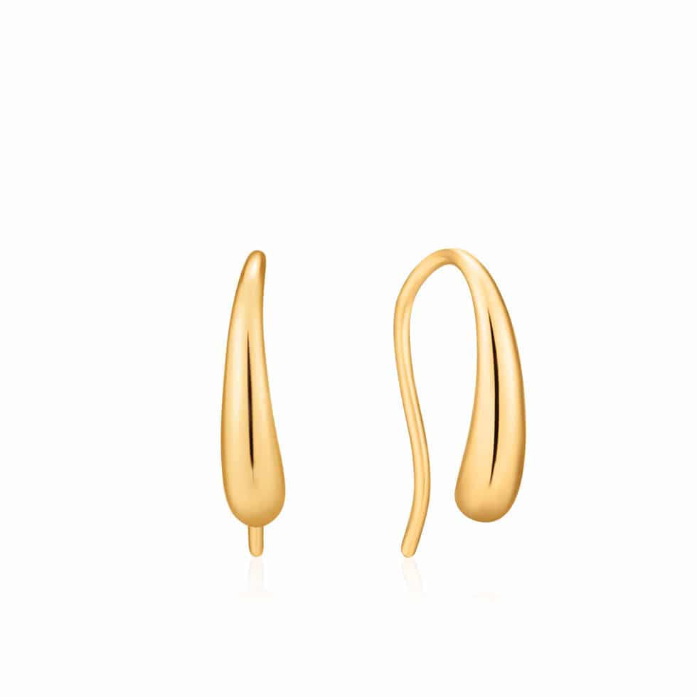 Luxe Hook Earrings by Ania Haie - Nelson Coleman Jewelers