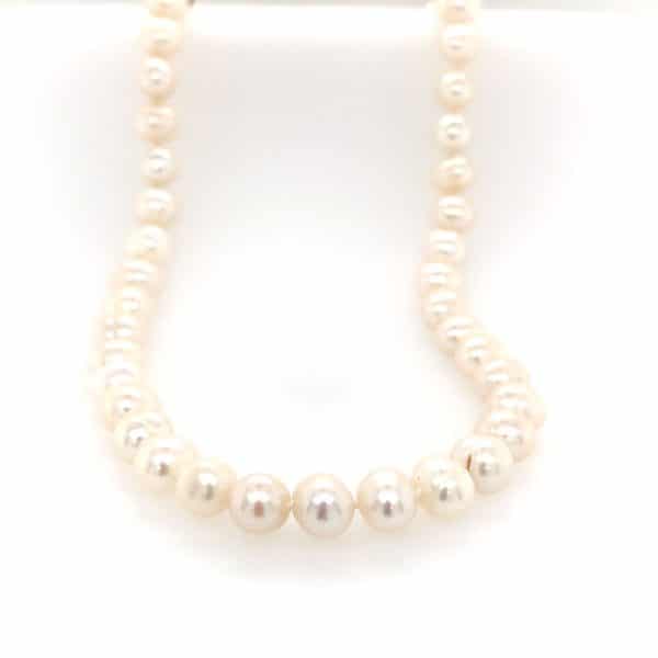 Freshwater Pearl Strand with Magnetic Clasp