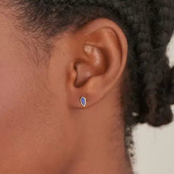 Second Nature Lapis Emblem Stud Earrings