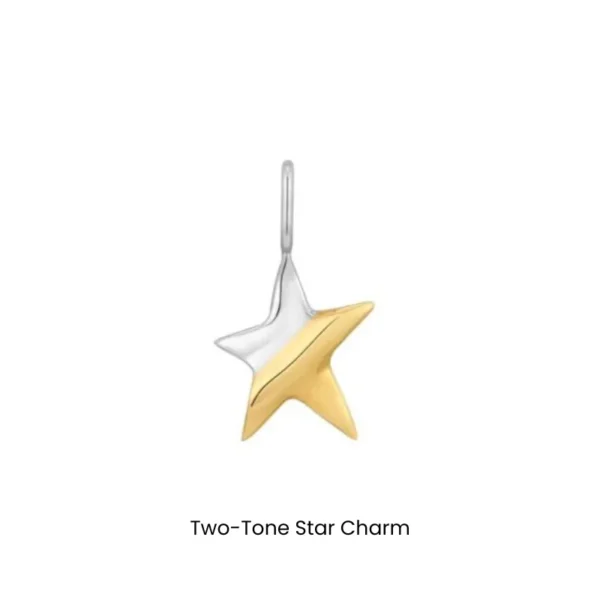 Bracelet and Necklace Pop Charms by Ania Haie - Two-Tone Star Charm